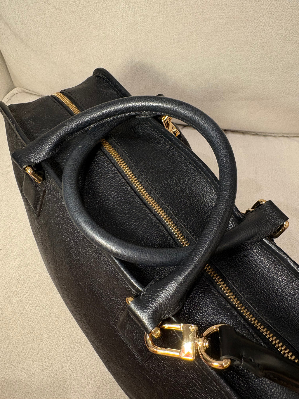LOEWE Amazona 36