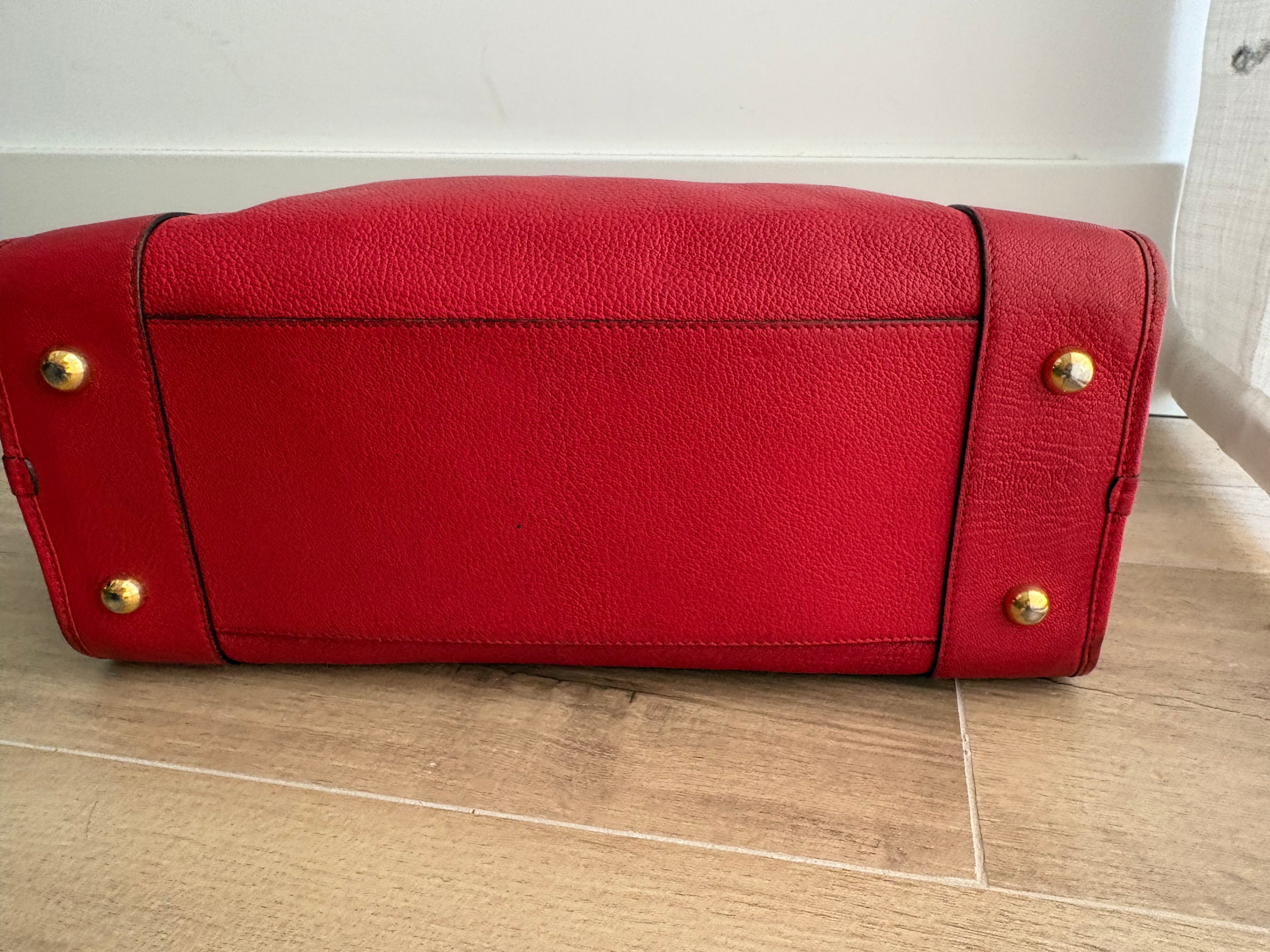 LOEWE Amazona 36