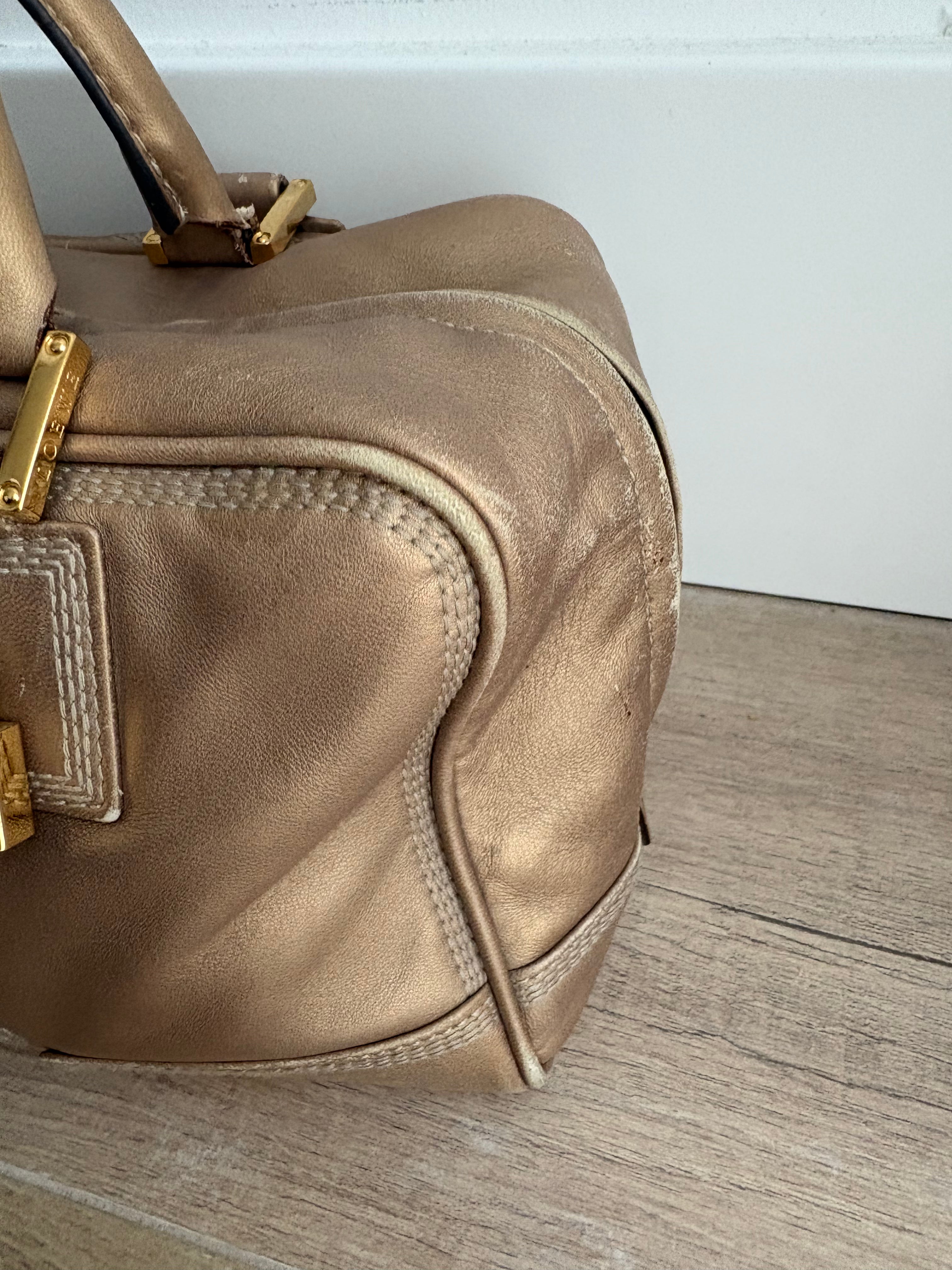 LOEWE Amazona