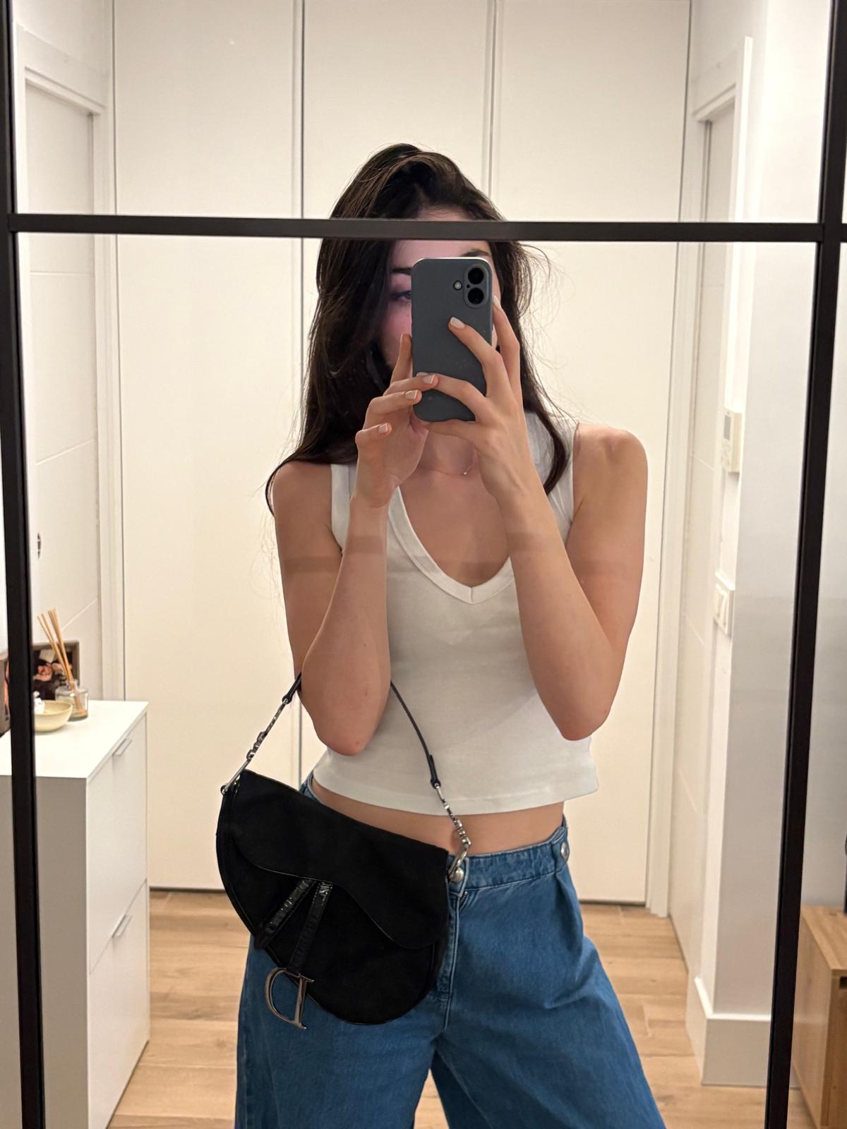 DIOR Saddle
