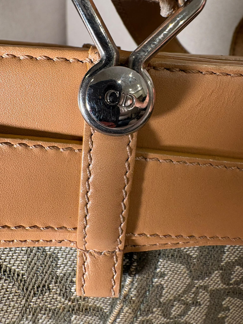 Dior Trotter caqui