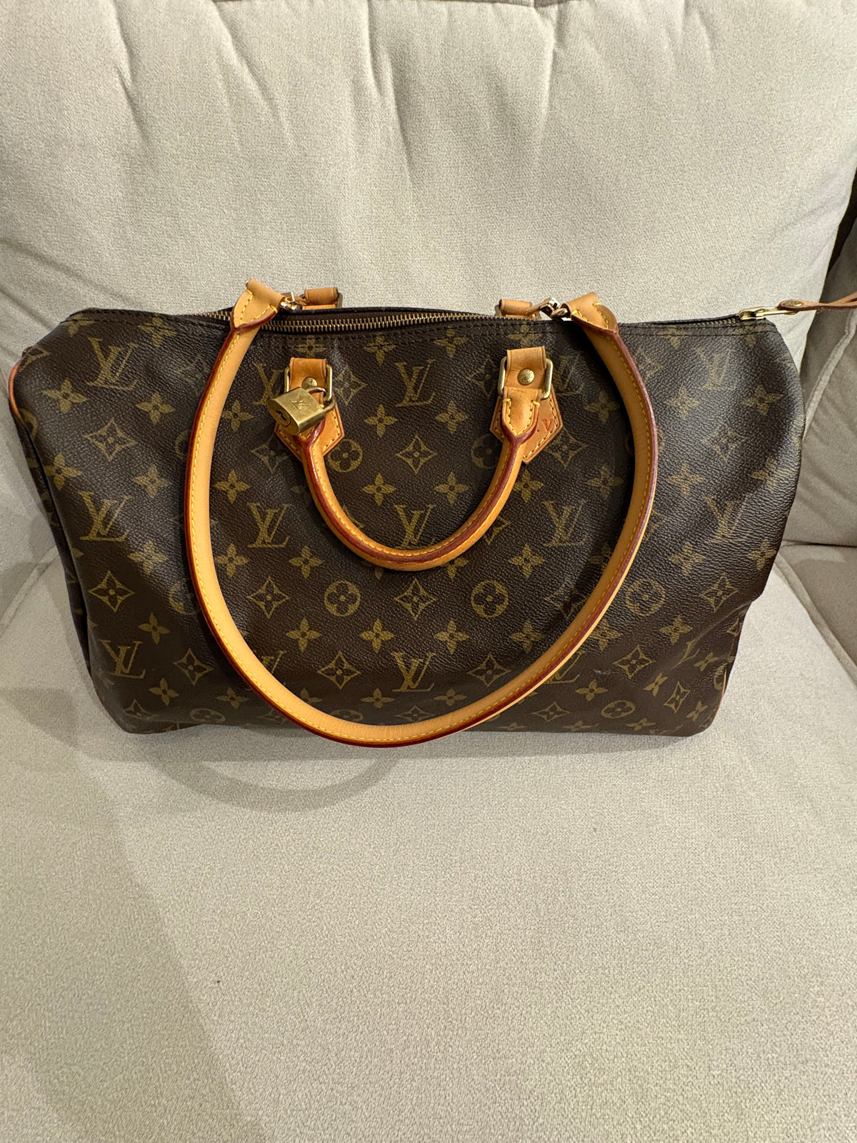 LOUIS VUITTON Speedy 40