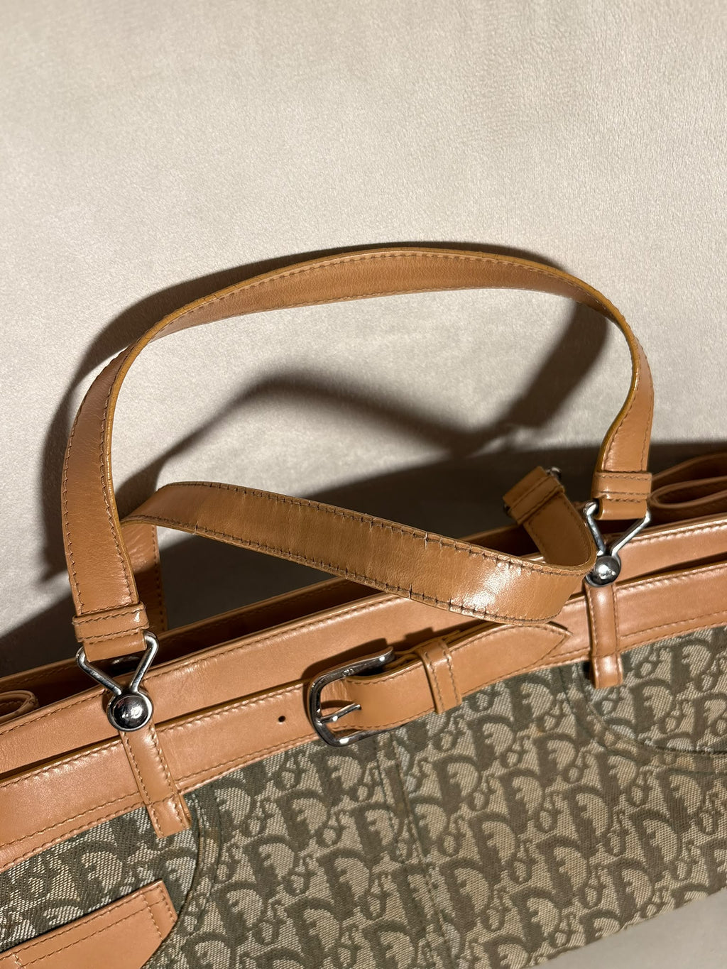 Dior Trotter caqui