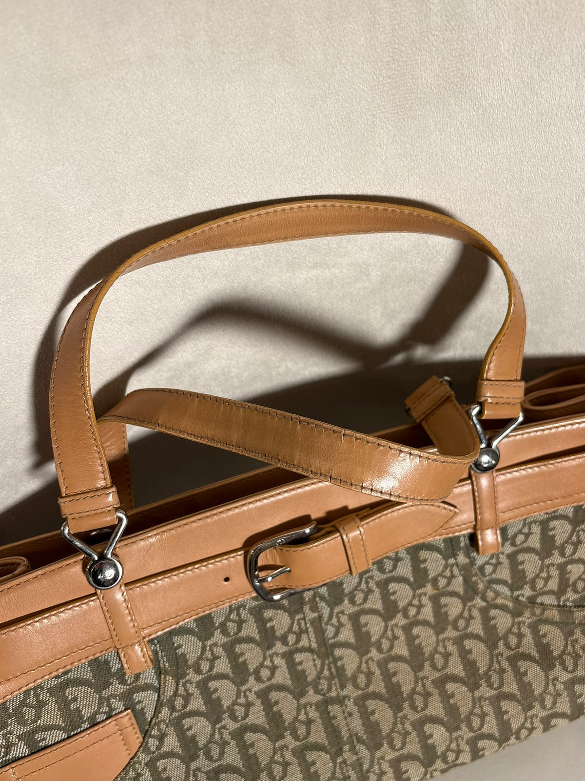 Dior Trotter caqui