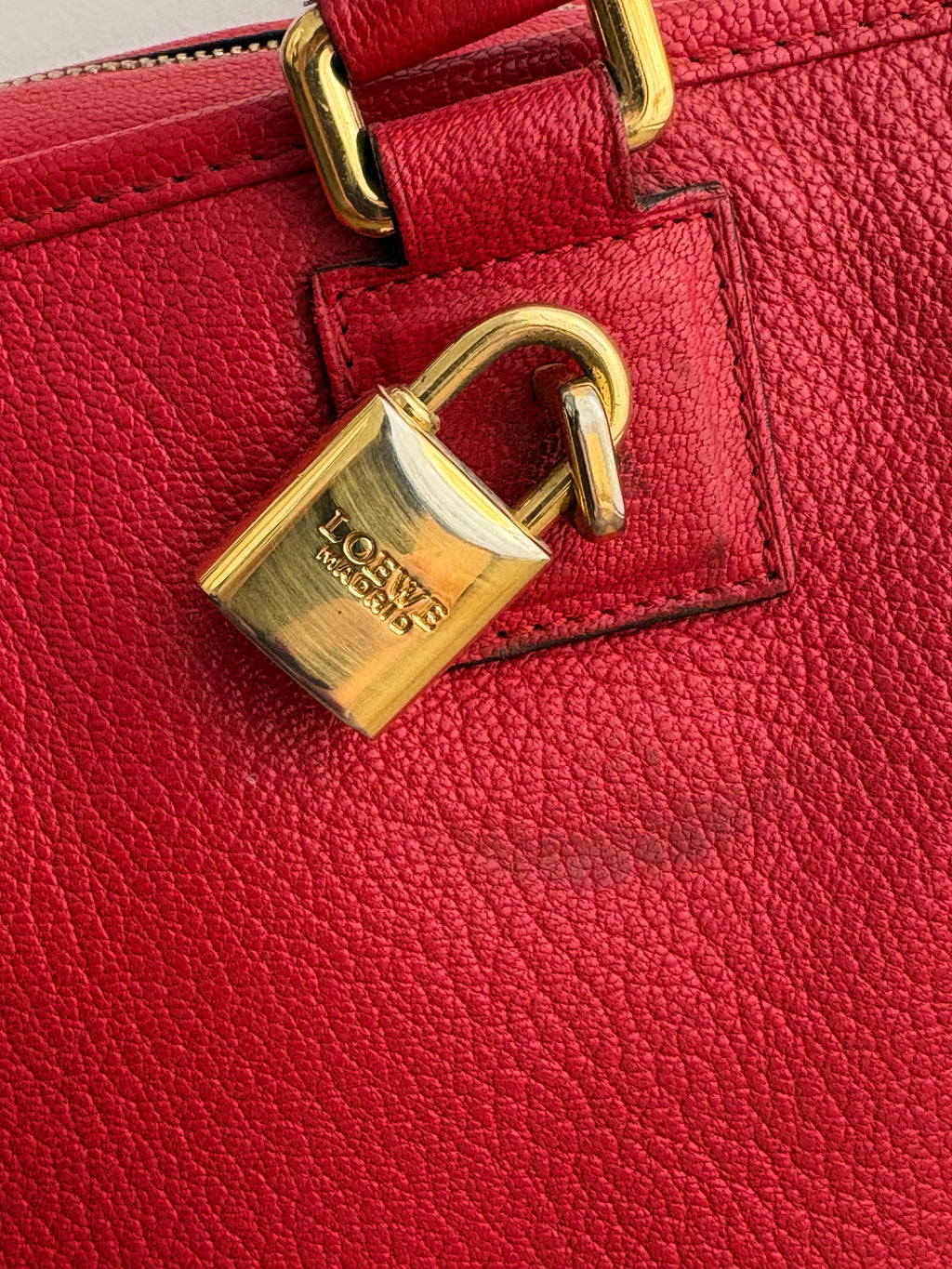 LOEWE Amazona 36