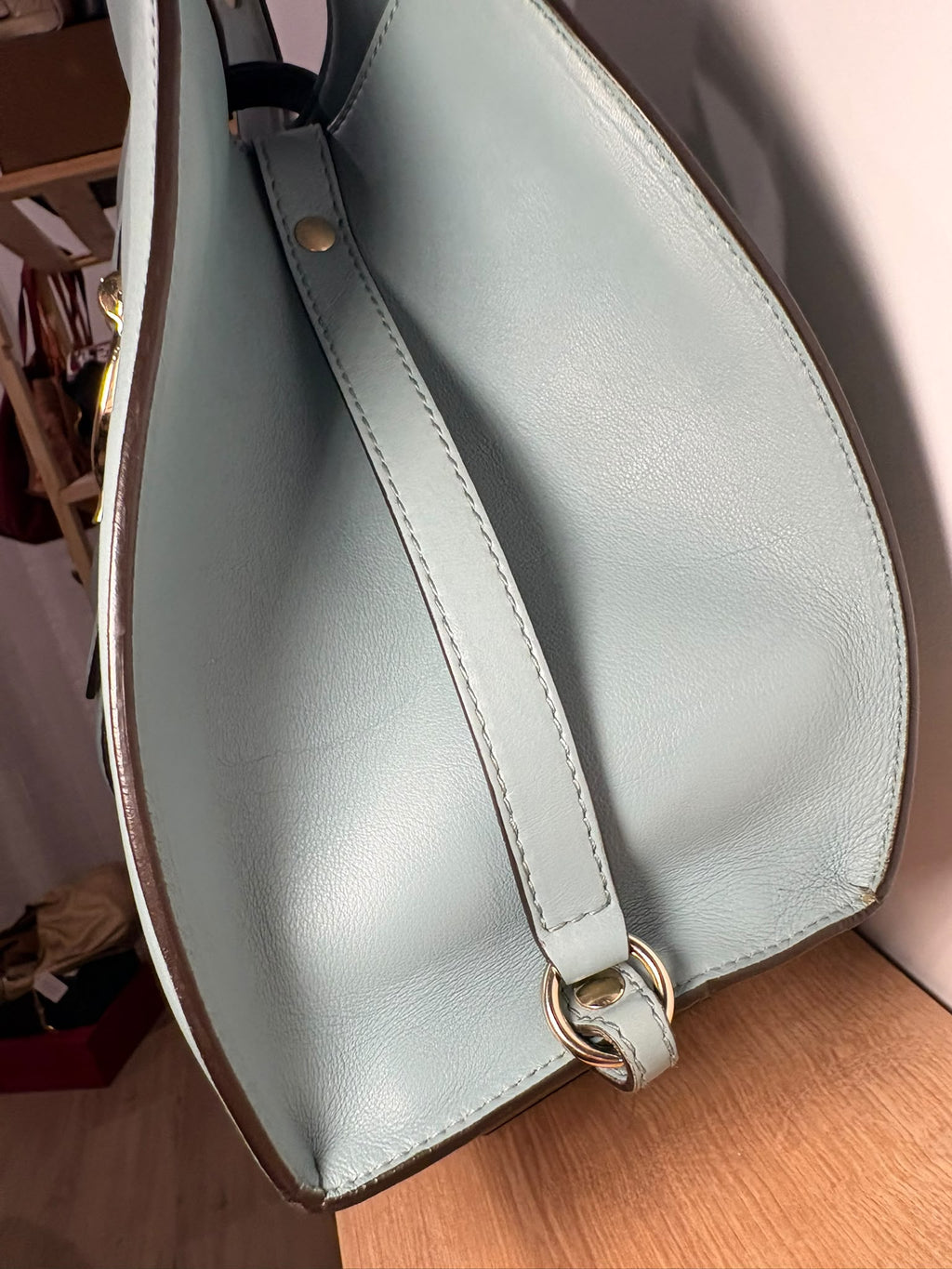 Gucci Stirrup, vista lateral con tira de piel y anilla metálica dorada