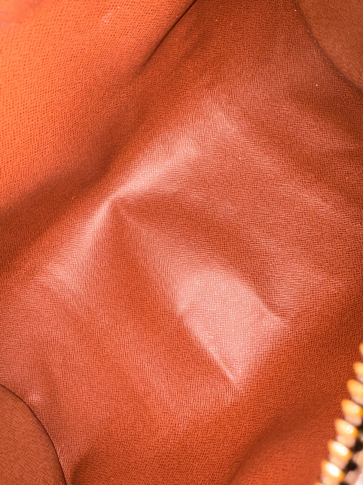 LOUIS VUITTON Papillon 30