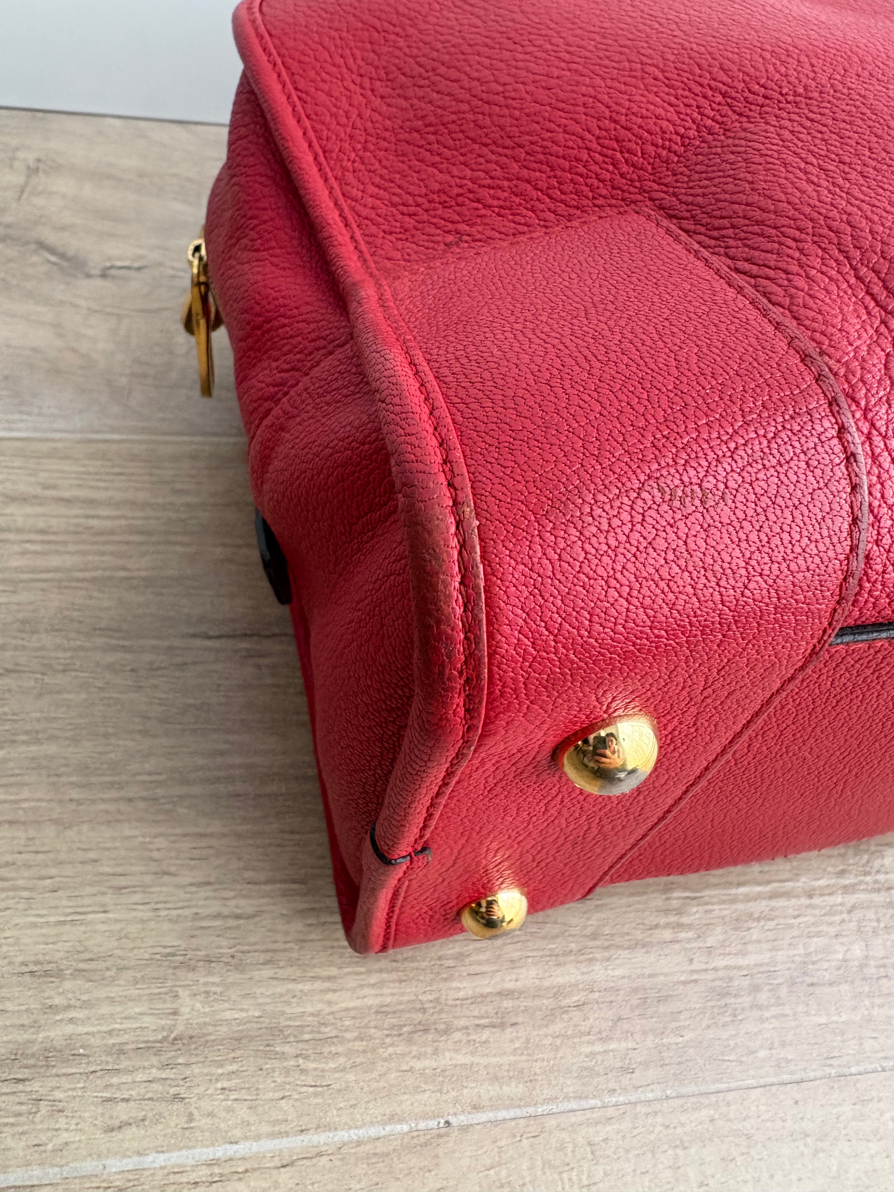 LOEWE Amazona 36