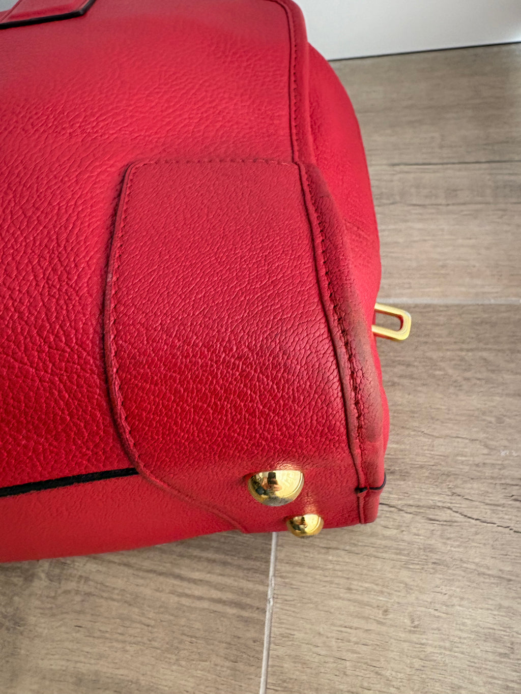 LOEWE Amazona 36