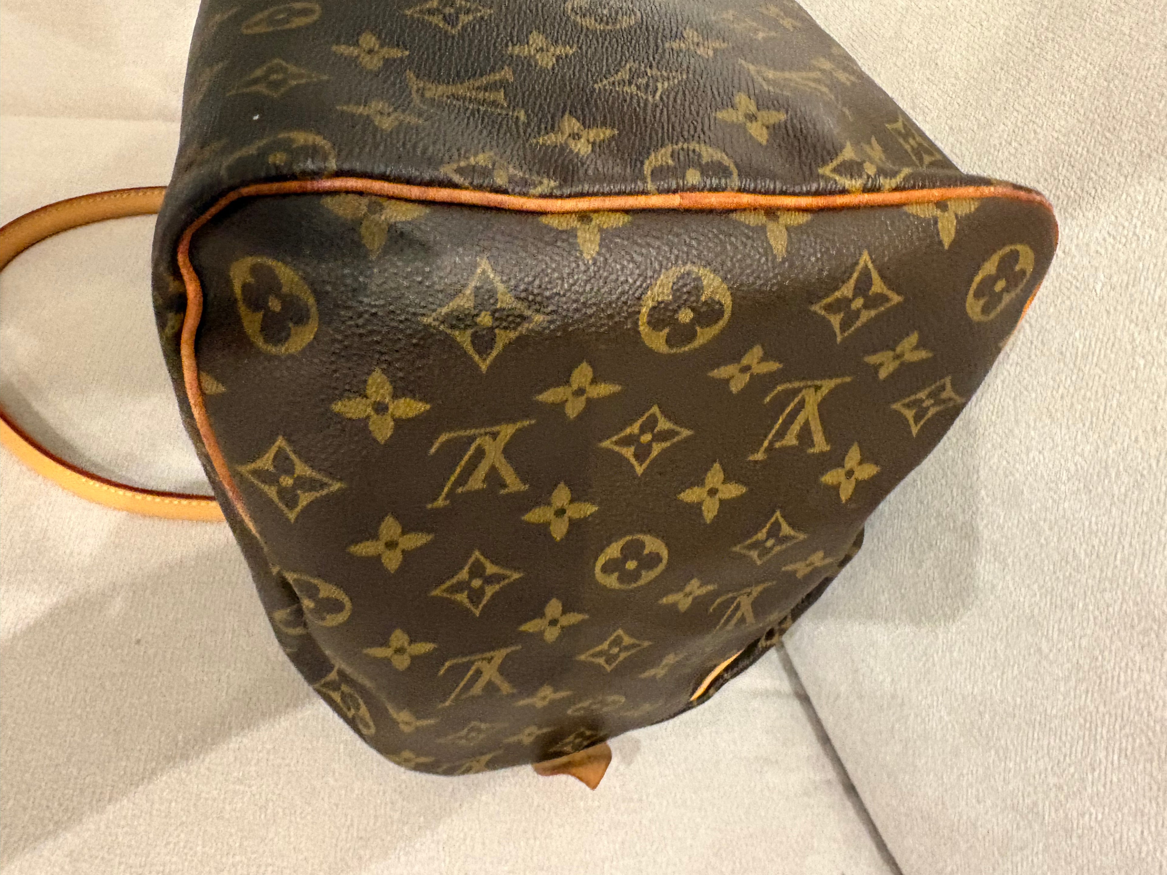 LOUIS VUITTON Speedy 40