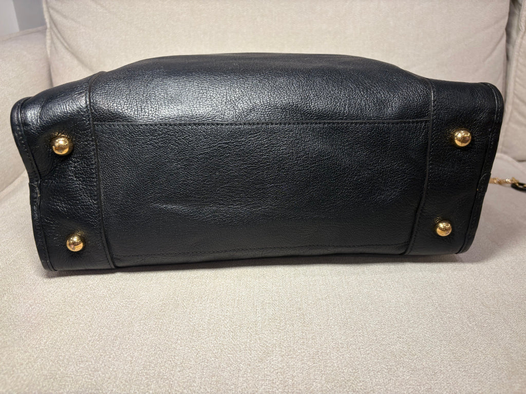 LOEWE Amazona 36