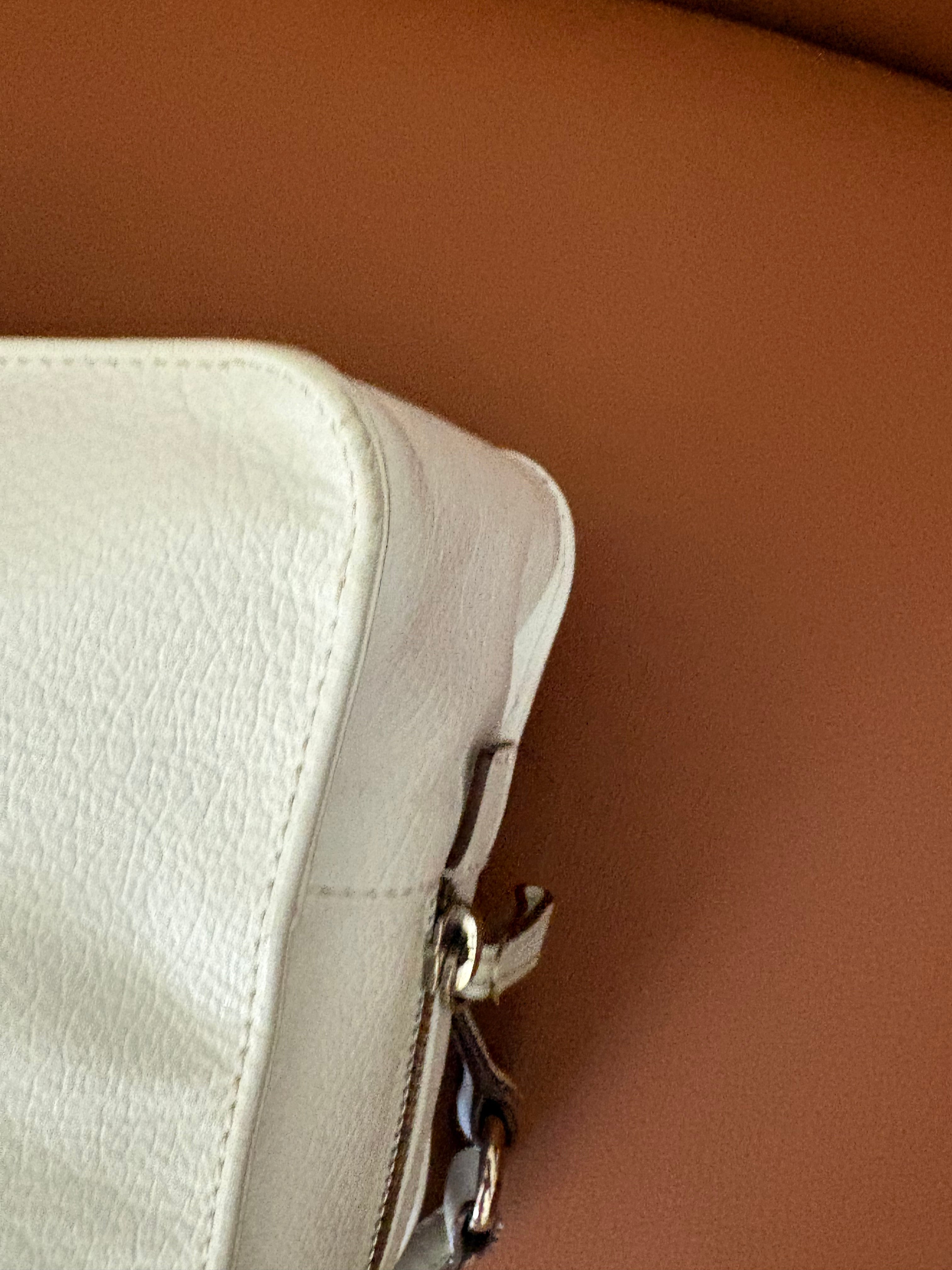 LOEWE Amazona 30