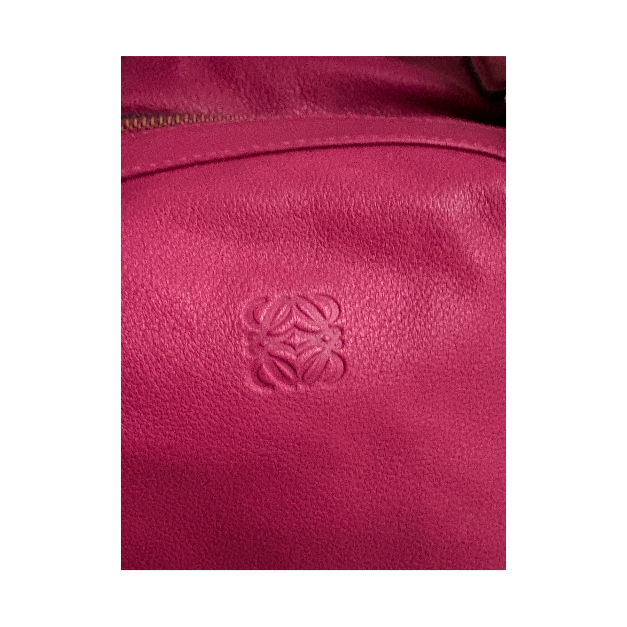 LOEWE Amazona
