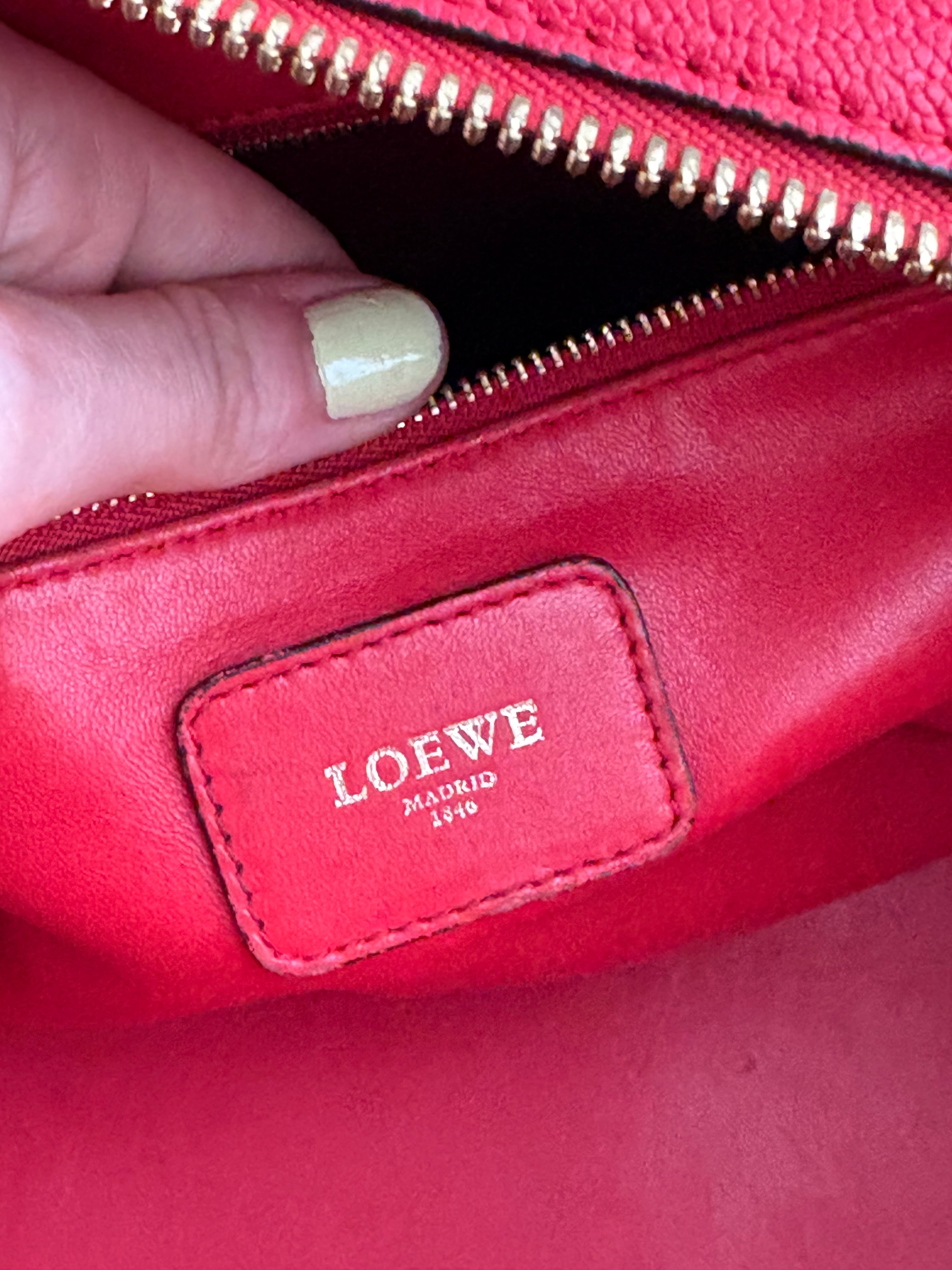 LOEWE Amazona 36