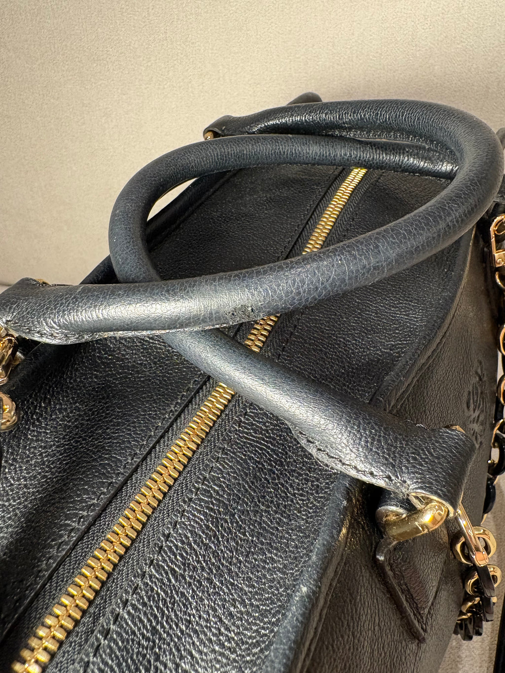 LOEWE Amazona 36
