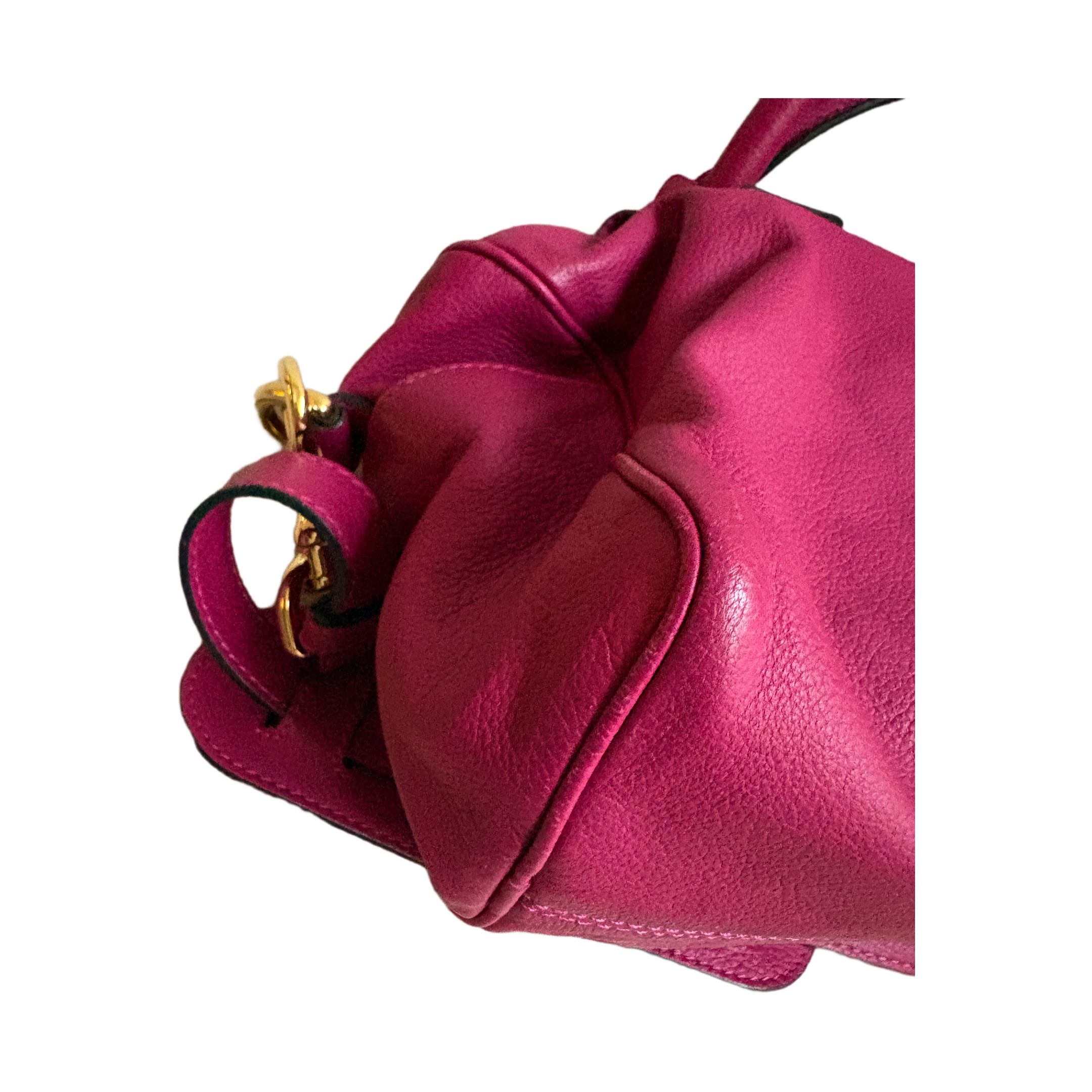 LOEWE Amazona